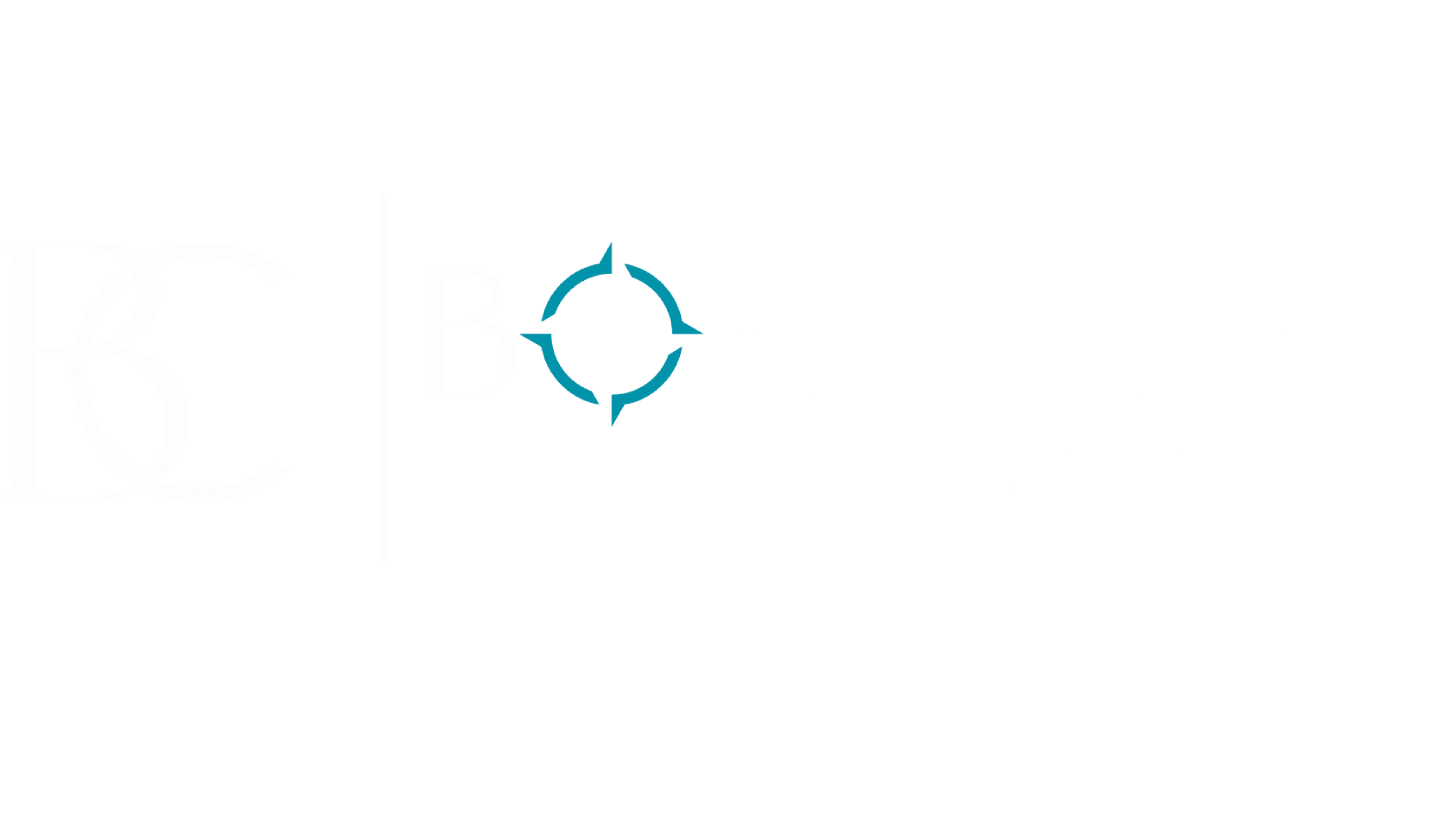 Borchers Consulting